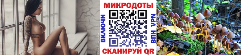 как найти закладки  Кола  Галлюциногенные грибы Cubensis 